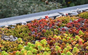 the cost of Sledmere green roof installation