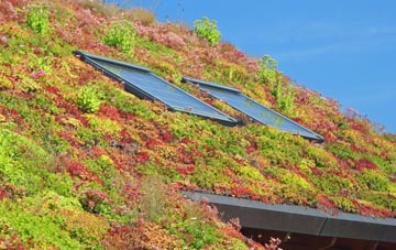 Sledmere living roof systems